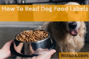 dog food labels