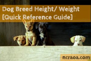 dog weight height