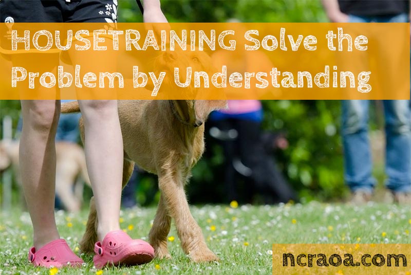 ian dunbar house training