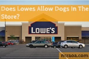 dogs at lowes