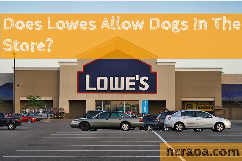 Does Lowe’s Allow Dogs In 2022? (Pet Policy Explained)