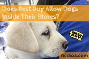 best buy dogs policy