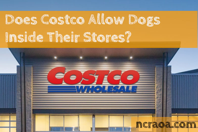 Does Costco Allow Dogs Inside? Is It Dog-Friendly? (2022 ...