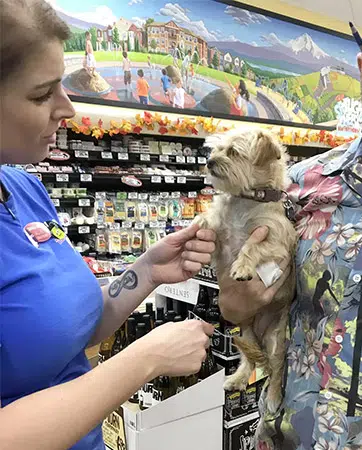 dog at trader joes