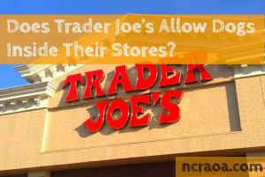 trader joe's dog policy
