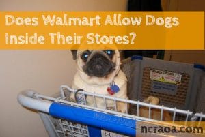 dog in walmart shopping cart