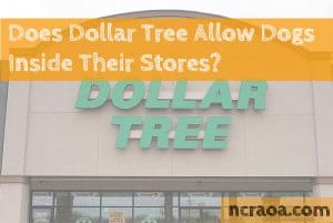 dollar tree dog policy