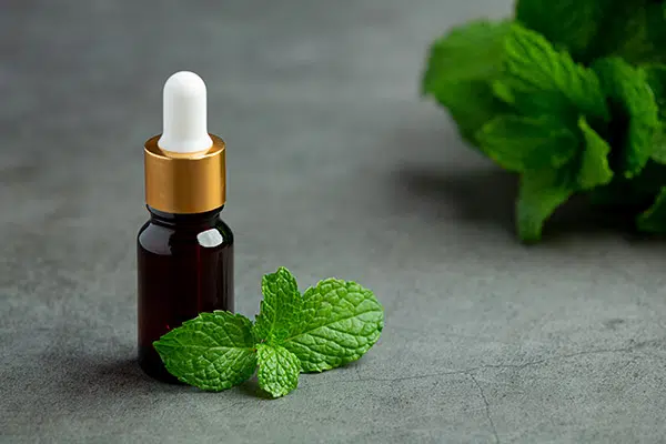 peppermint oil