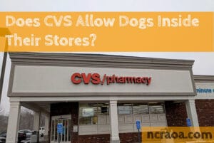 cvs dog policy