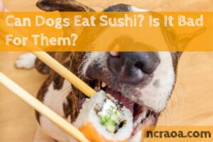 dog eat sushi