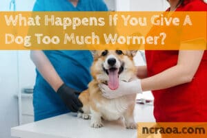 dog too much wormer