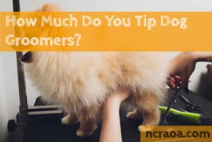 tip dog groomers