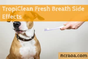 tropiclean fresh breath side effects