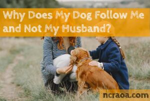 dog follows me not my husband