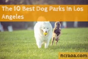 los angeles dog parks