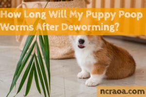 puppy poop worms after deworming