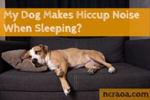 dog hiccup sleeping
