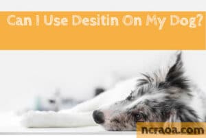 Use Desitin on dog