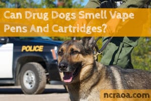 drug dog smell vapes
