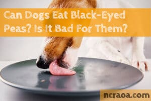 can dogs eat black eyed peas?