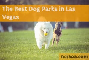 las vegas dog parks