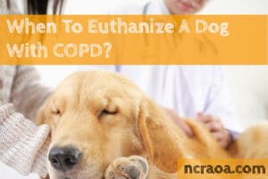 put down dog copd