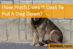 cost put down dog