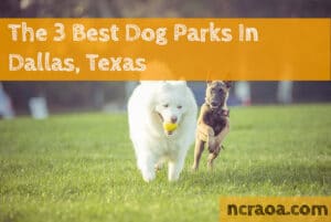 dallas dog parks