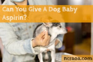 give dog baby aspirin