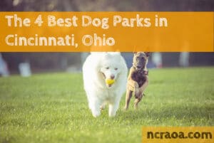 Dog Parks in Cincinnati