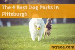 dog parks pittsburgh