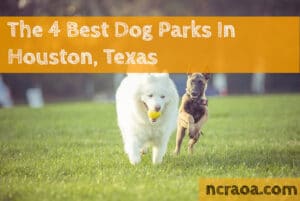 houston dog parks