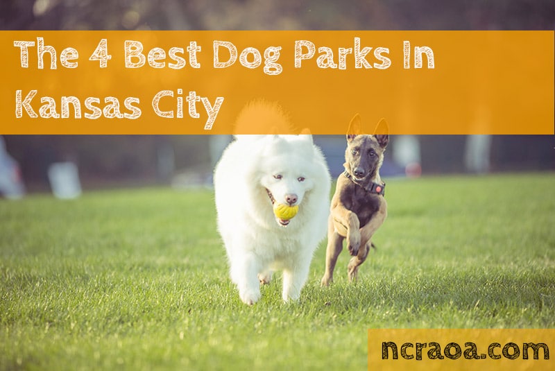 The 4 Best Dog Parks In Kansas City | National Canine Research