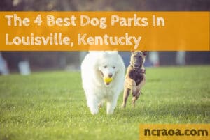 louisville dog parks