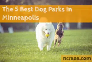 minneapolis dog parks