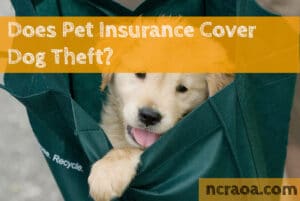 pet insurance dog theft