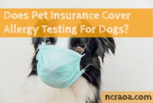 pet insurance allergy testing