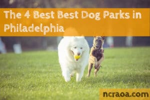 philly dog parks