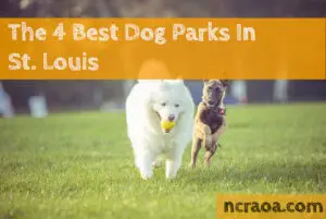 st louis dog parks