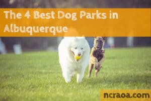 albuquerque dog parks