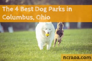 columbus dog parks