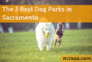 dog parks sacramento