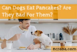 can dogs eat pancakes