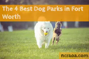 fort worth dog parks