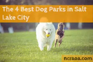 salt lake city dog parks