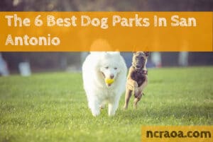 san antonio dog parks