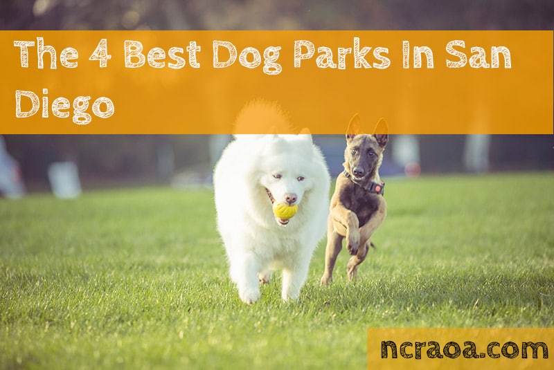 The 4 Best Dog Parks In San Diego | NCRAOA