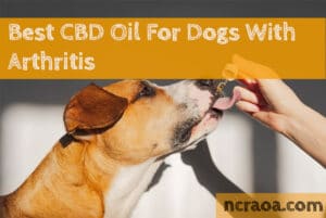 Best CBD Oil For Dogs With Arthritis