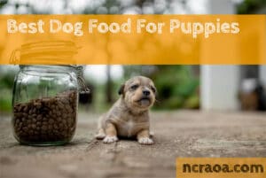 best dog food for puppies