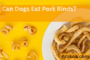 can dogs eat pork rinds